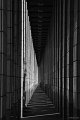 2nd-2011-Apr-IMG_2952-2-BW-cccc-t